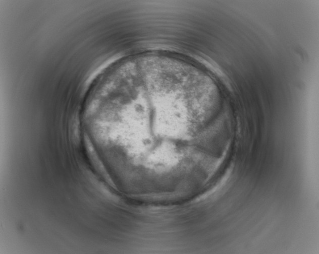 X0000113590782200910161842