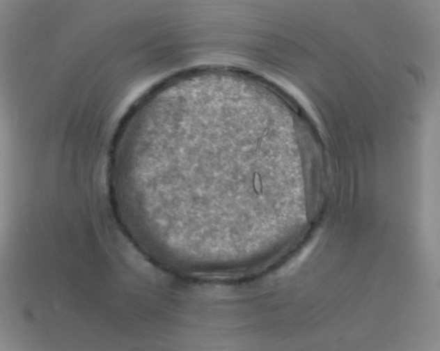 X0000113590783200910161842