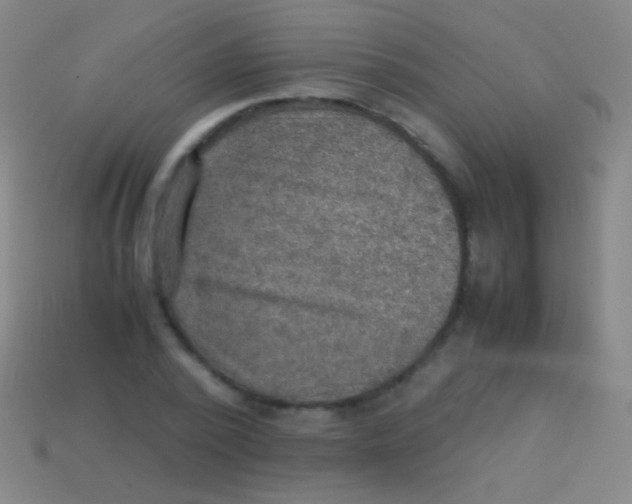 X0000113590784200910161842