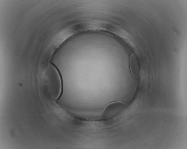 X0000113590785200910161842