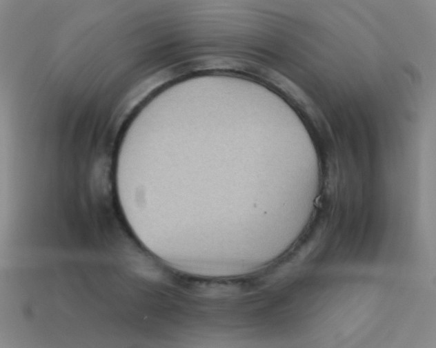 X0000113590786200910161842