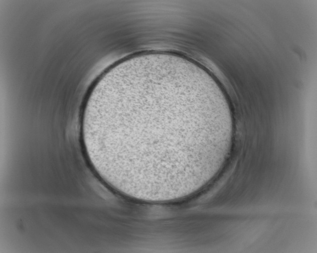 X0000113590787200910161842