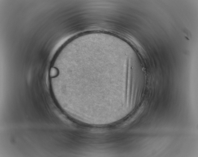 X0000113590788200910161842