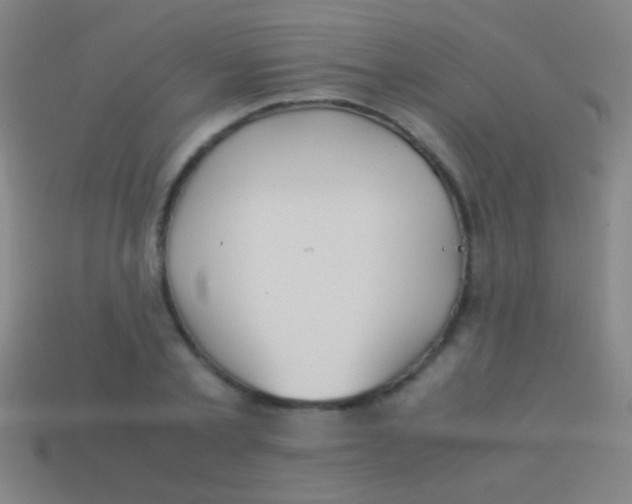 X0000113590789200910161842