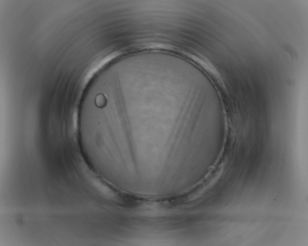 X0000113590790200910161842
