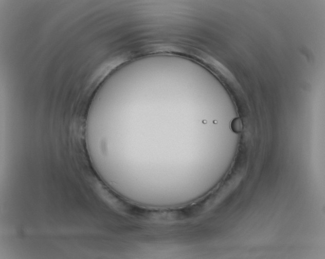 X0000113590793200910161842