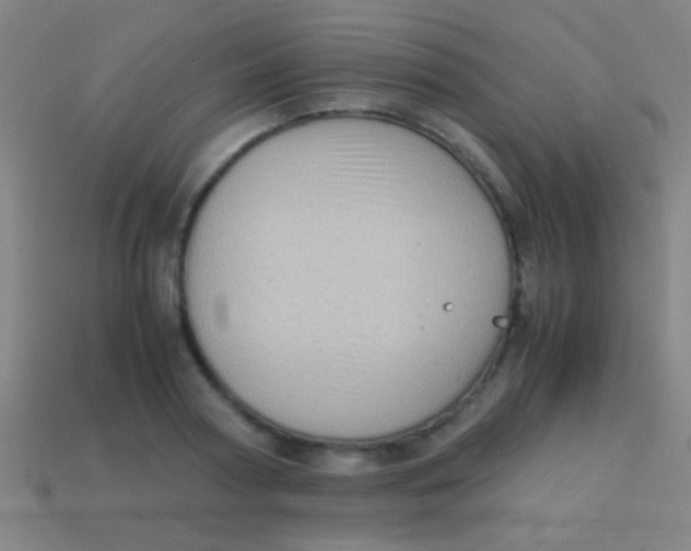 X0000113590794200910161842