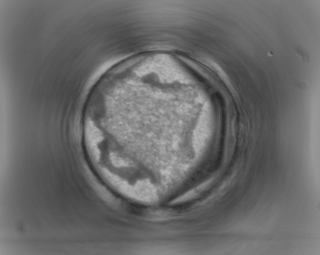 X0000113590795200910161842