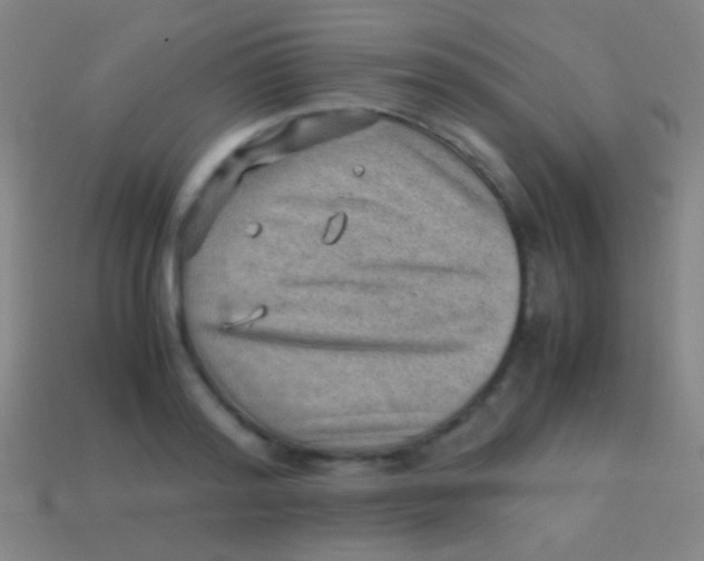 X0000113590796200910161842