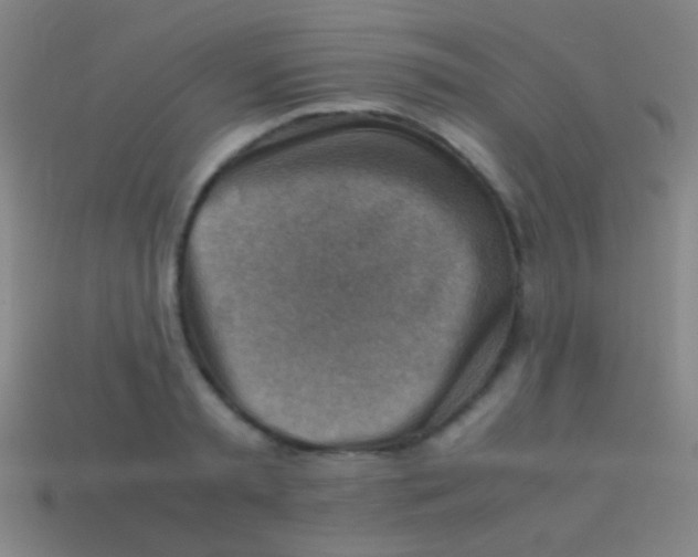 X0000113590797200910161842