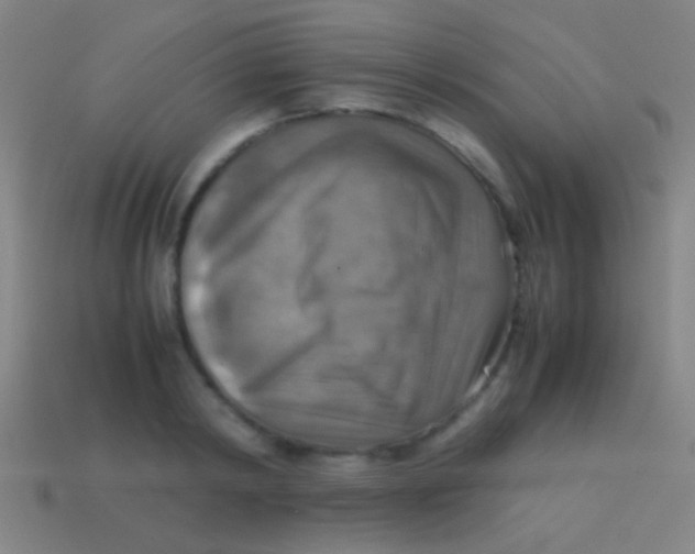 X0000113590798200910161842