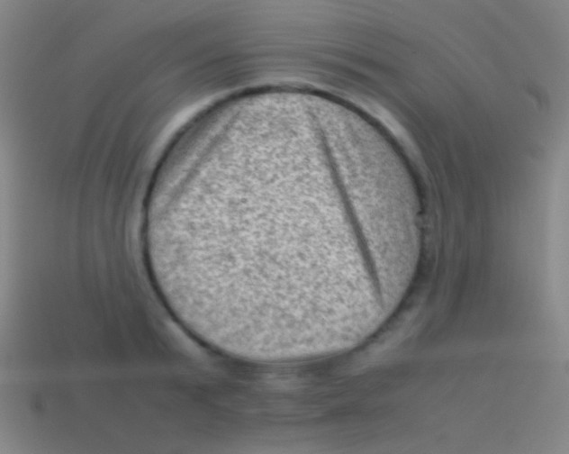 X0000113590799200910161842