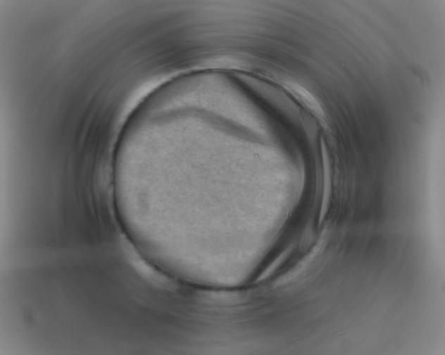 X0000113590800200910161842