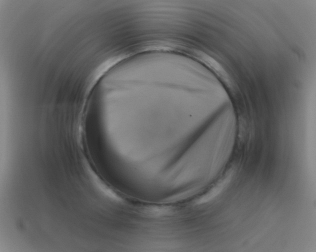 X0000113590802200910161842