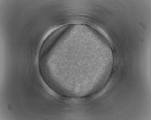 X0000113590803200910161842