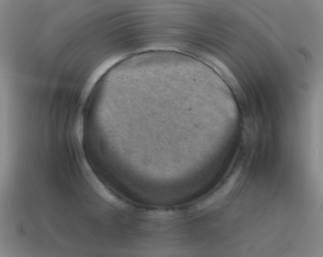 X0000113590804200910161842