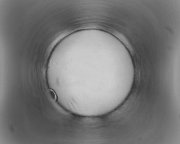 X0000113590805200910161842
