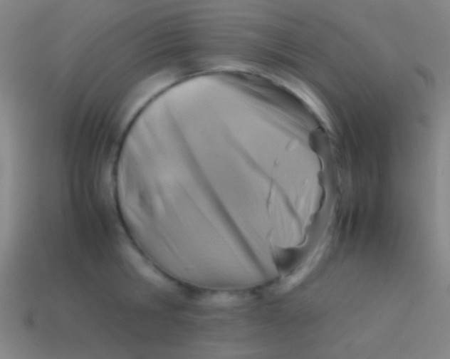 X0000113590806200910161842