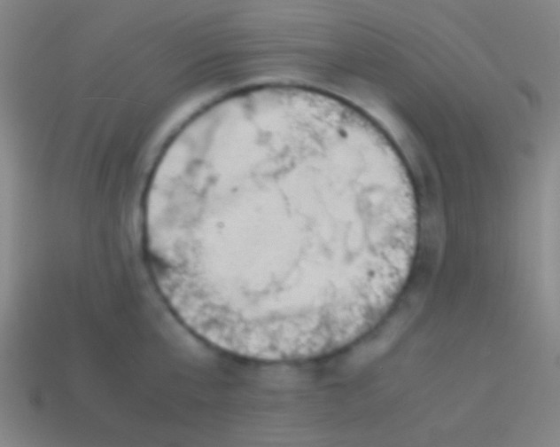 X0000113590807200910161842