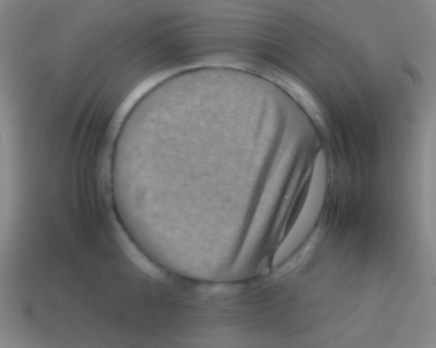 X0000113590808200910161842