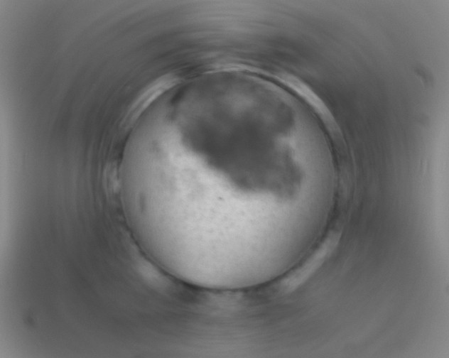 X0000113590809200910161842
