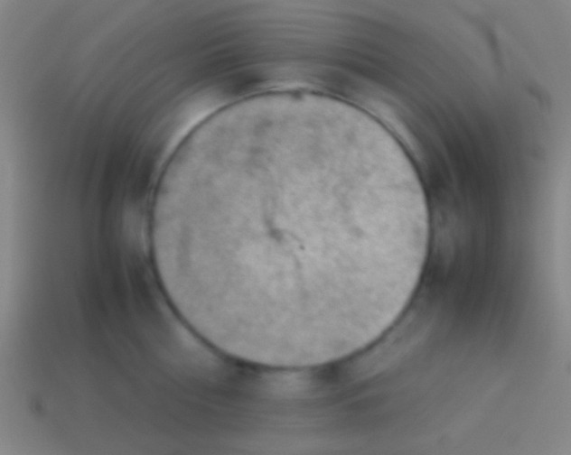 X0000113590810200910161842