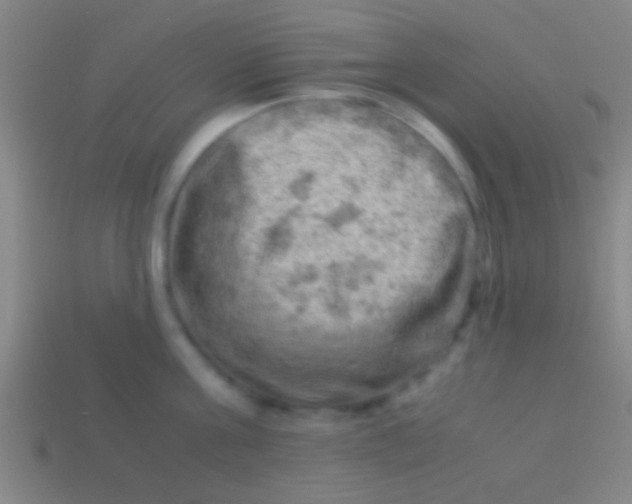 X0000113590811200910161842