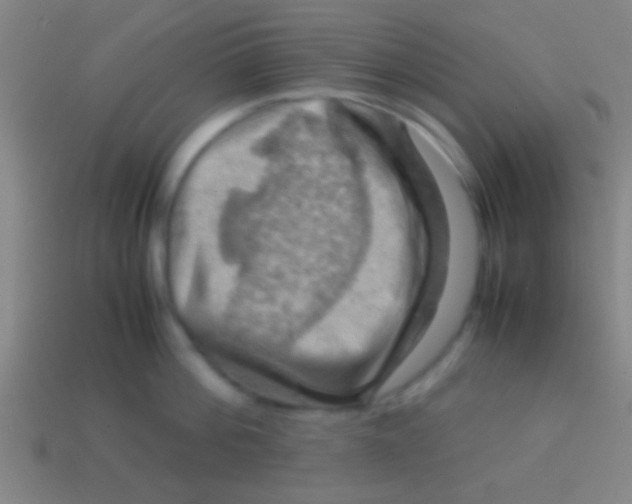X0000113590812200910161842