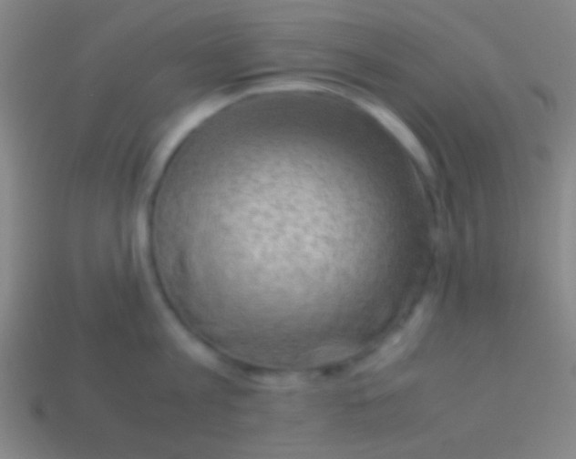 X0000113590813200910161842