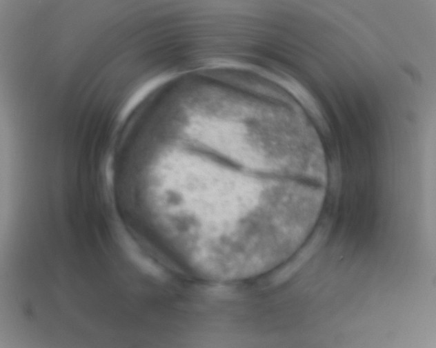 X0000113590814200910161842
