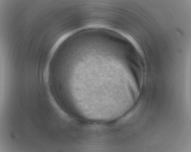 X0000113590815200910161842