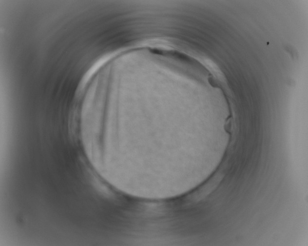 X0000113590816200910161842