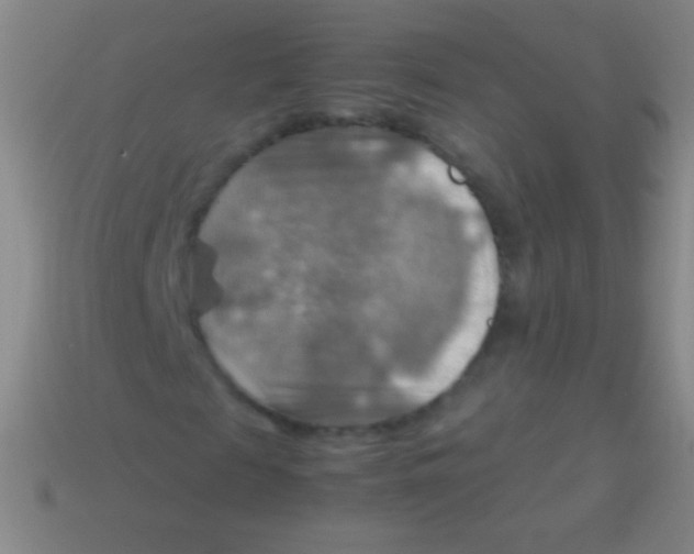 X0000113590817200910161841