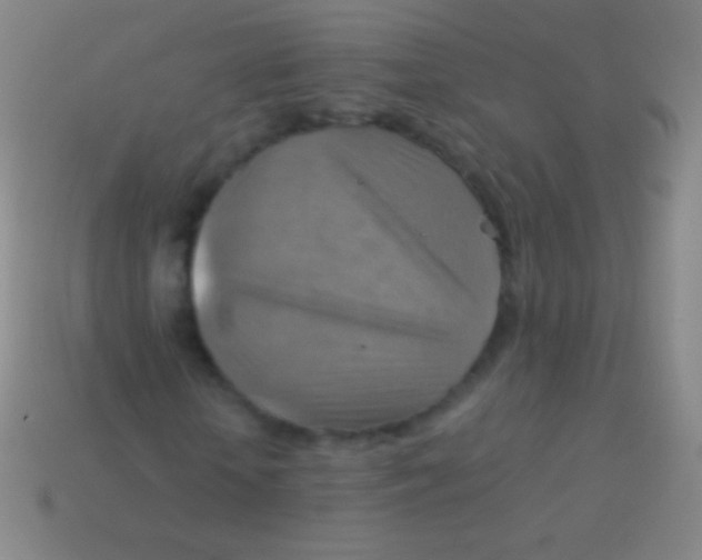 X0000113590818200910161841