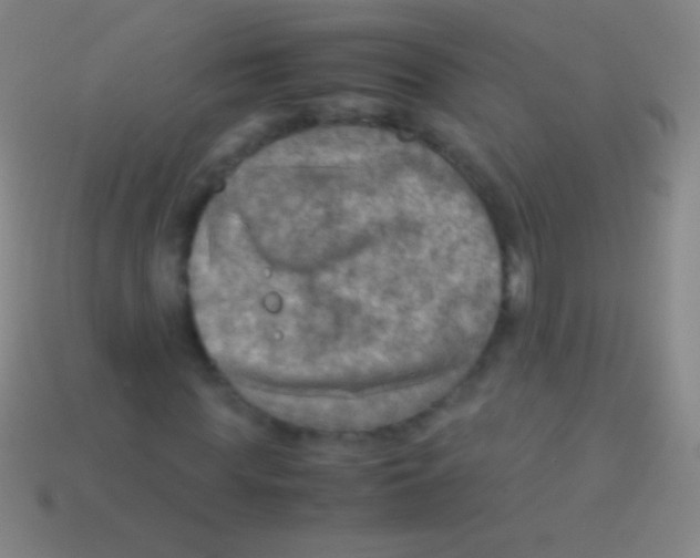 X0000113590819200910161841