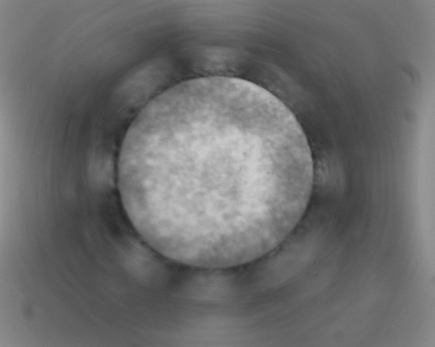 X0000113590820200910161841