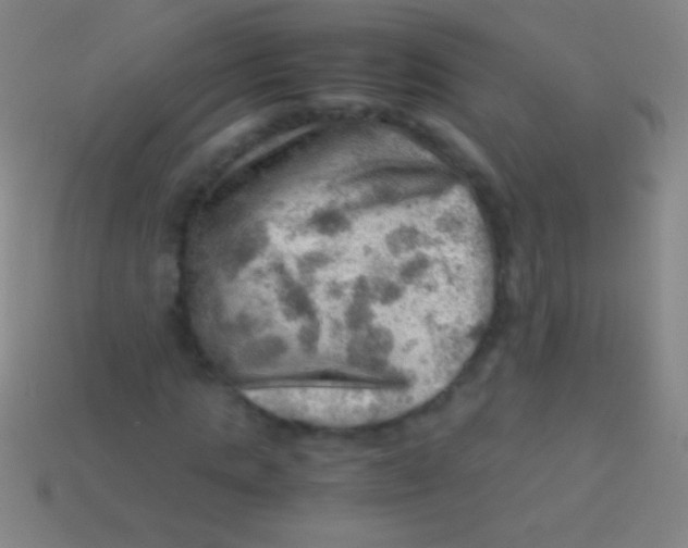 X0000113590821200910161841