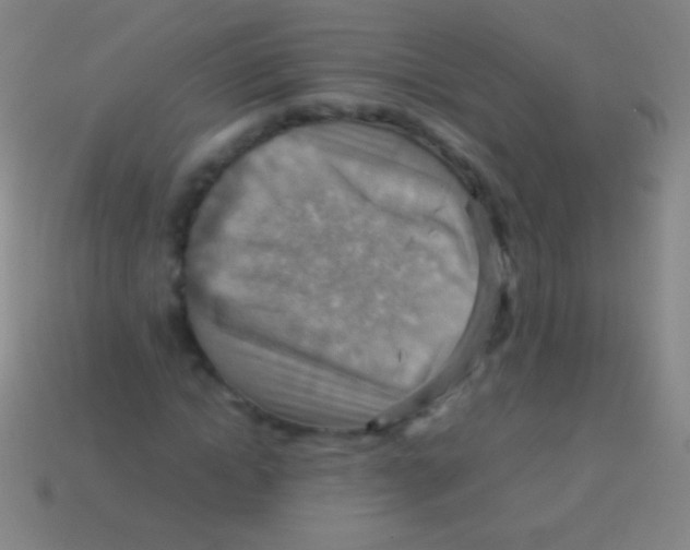 X0000113590822200910161841