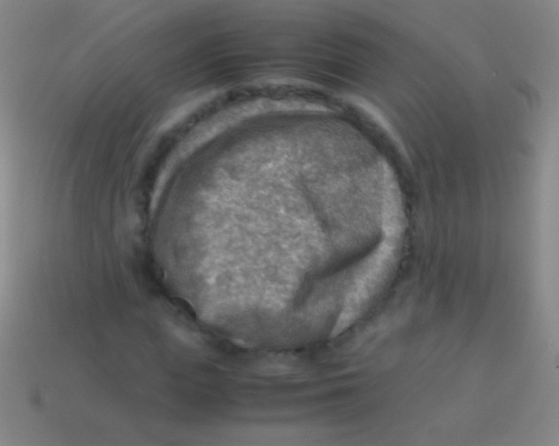X0000113590823200910161841