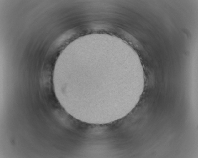 X0000113590824200910161841