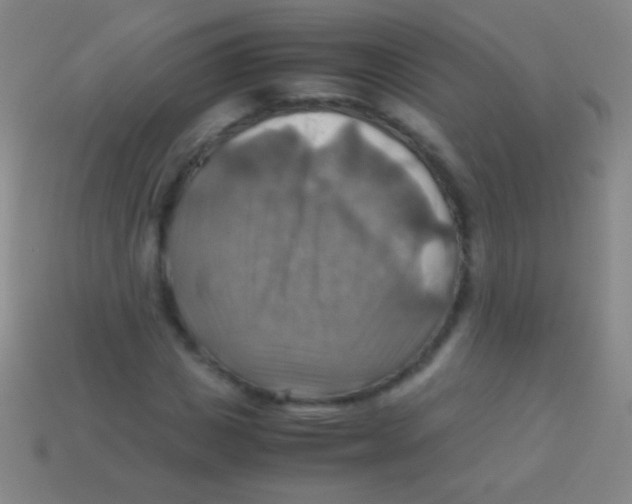 X0000113590825200910161841