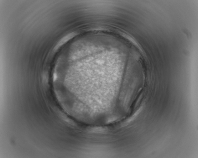 X0000113590826200910161841