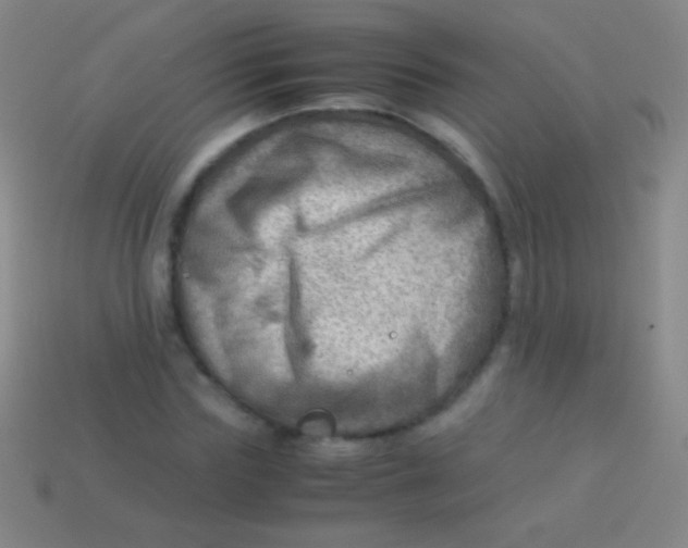 X0000113590827200910161841