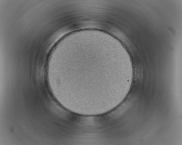 X0000113590828200910161841