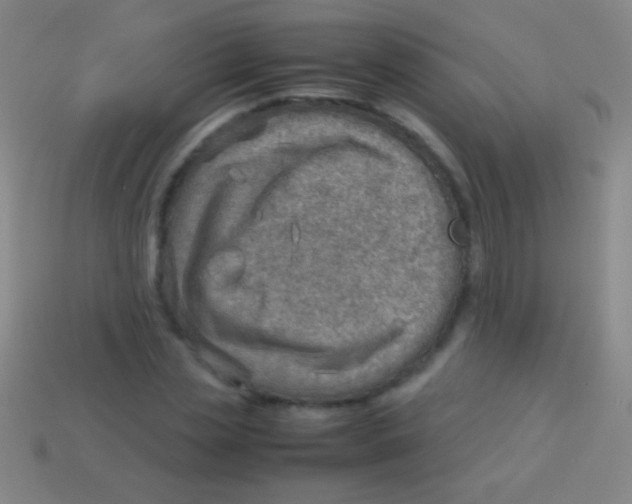 X0000113590829200910161841
