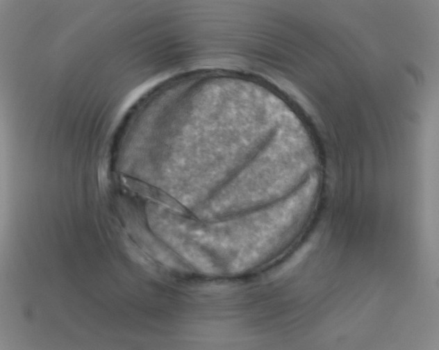 X0000113590830200910161841