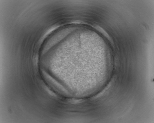X0000113590831200910161841