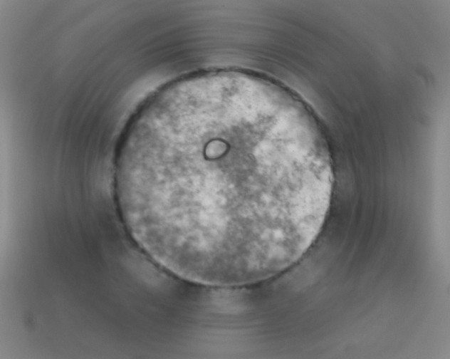 X0000113590832200910161841