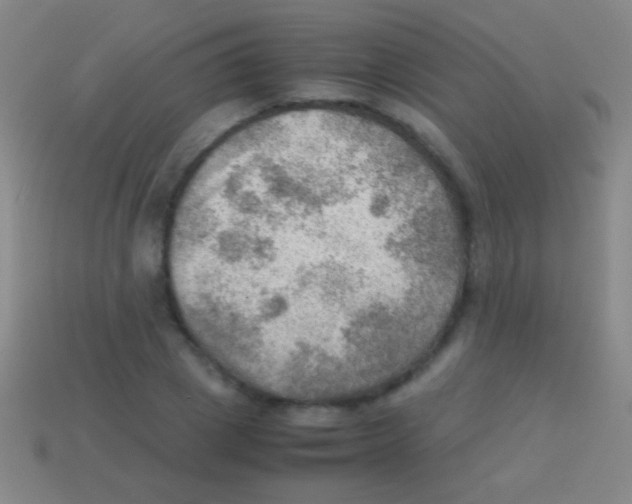 X0000113590833200910161841
