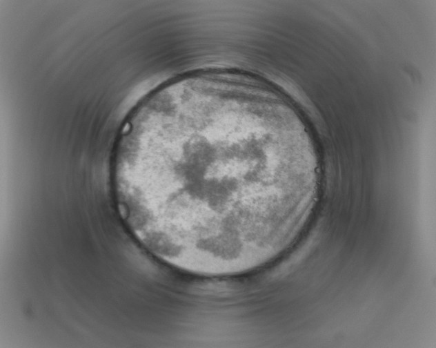X0000113590834200910161841